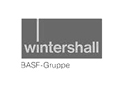 logo-wintershall.jpg